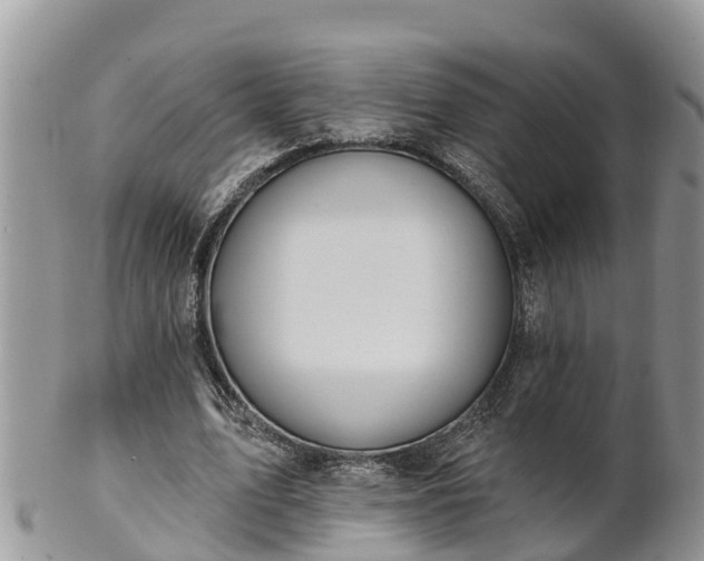 X0000102280583200808011452