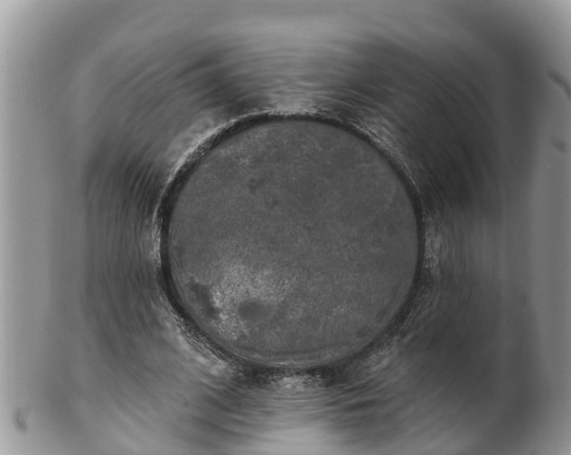 X0000102280584200808011452