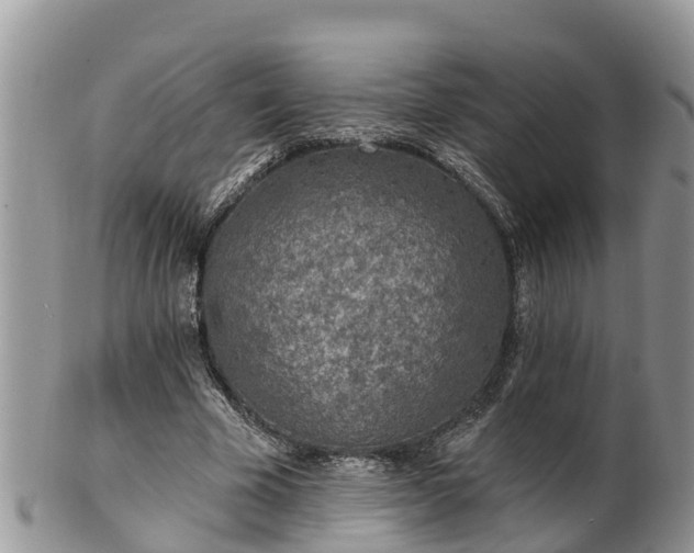 X0000102280585200808011452