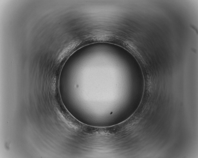 X0000102280586200808011452