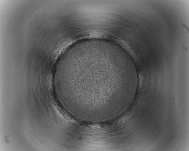 X0000102280588200808011452