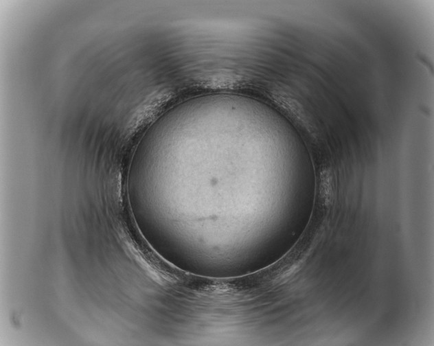 X0000102280589200808011452