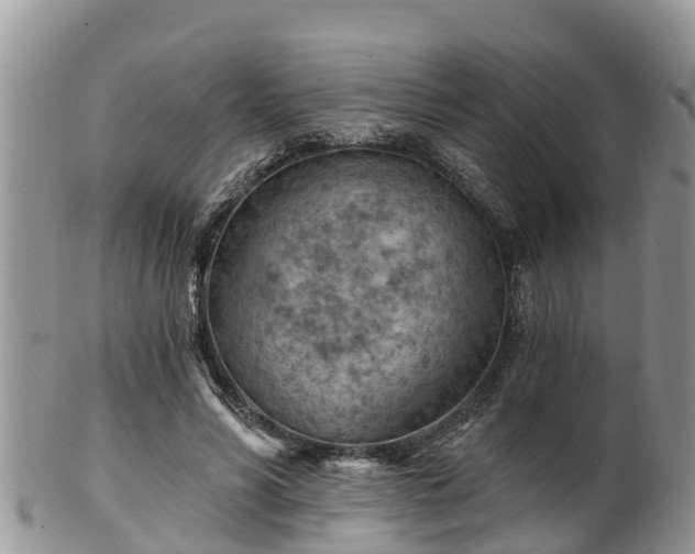 X0000102280590200808011452