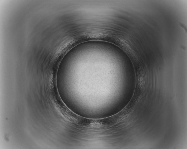 X0000102280591200808011452