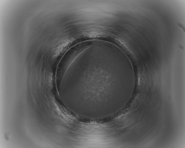 X0000102280592200808011452