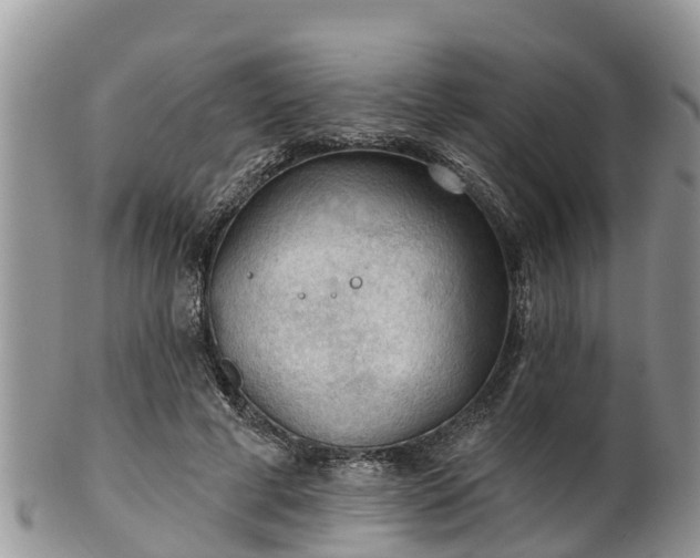 X0000102280593200808011452