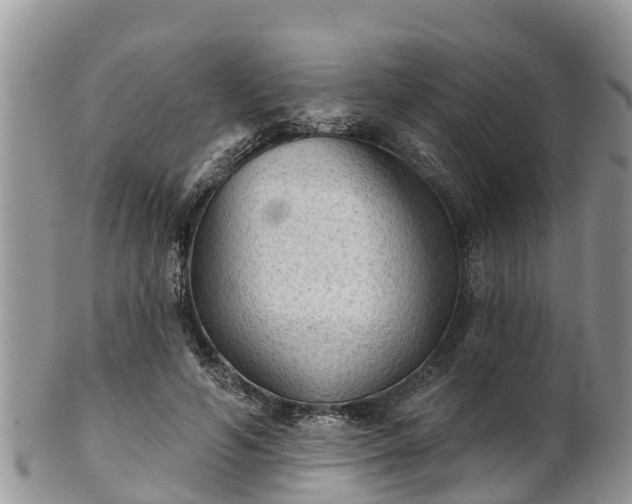 X0000102280594200808011452