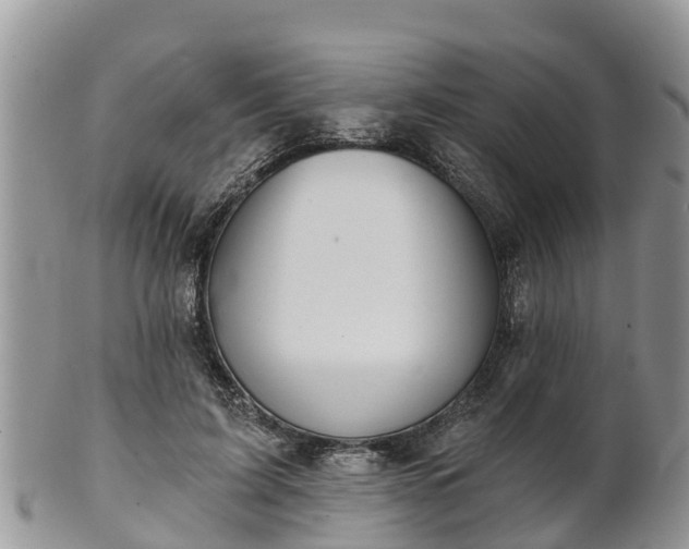 X0000102280595200808011452