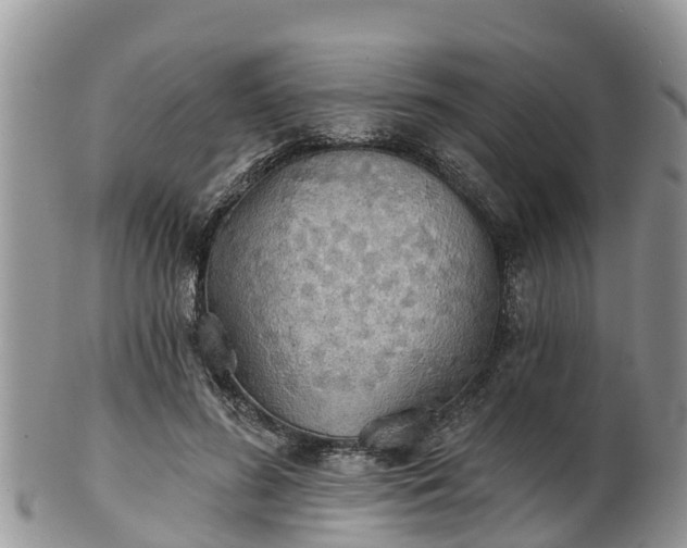 X0000102280596200808011452