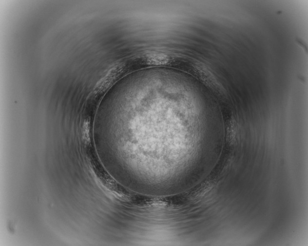 X0000102280598200808011452