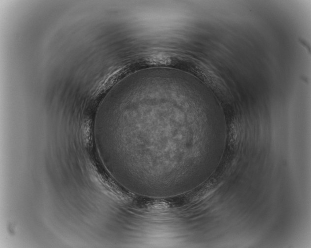 X0000102280600200808011452