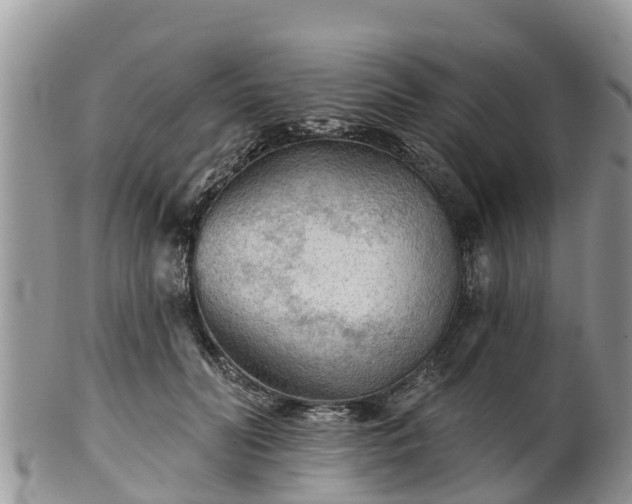 X0000102280606200808011452