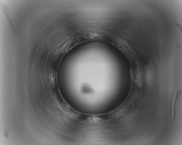 X0000102280607200808011452