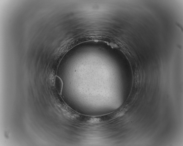 X0000102280609200808011451