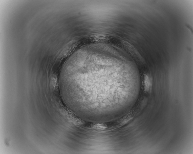 X0000102280610200808011451