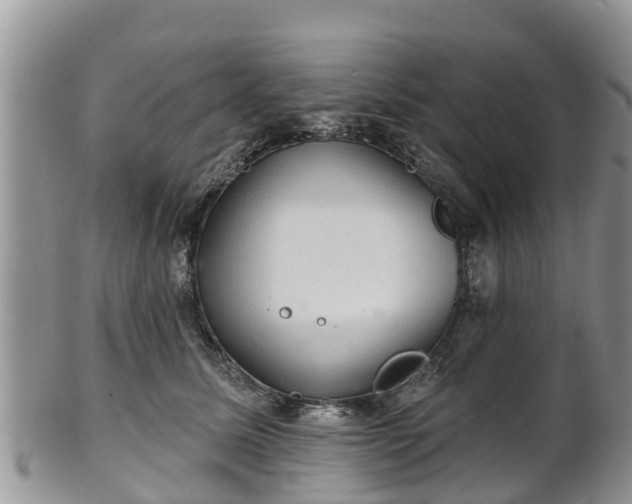 X0000102280611200808011451