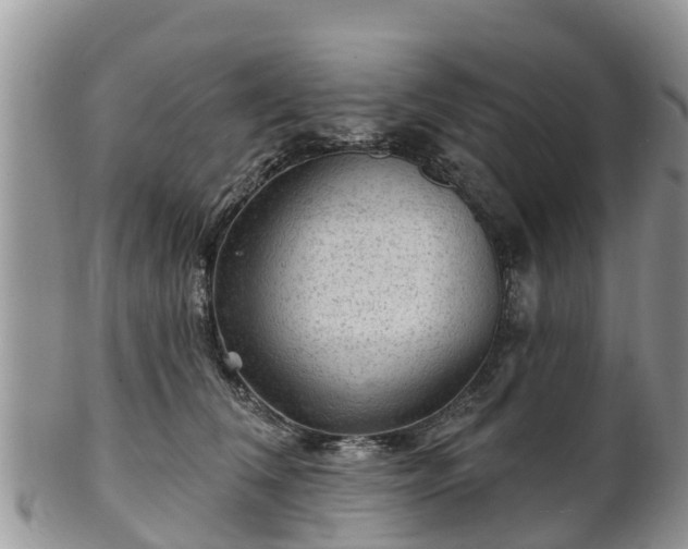 X0000102280612200808011451