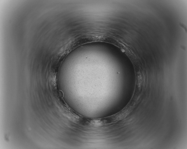 X0000102280613200808011451