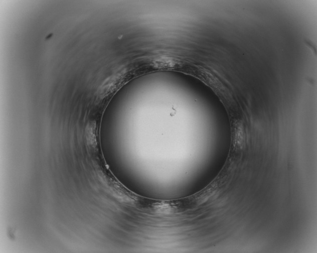 X0000102280616200808011451