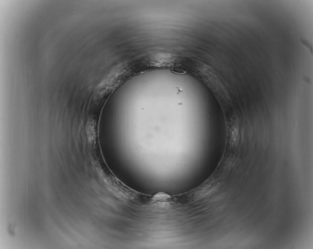 X0000102280620200808011451