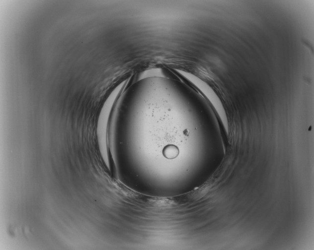 X0000102280621200808011451