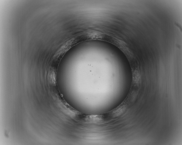 X0000102280622200808011451