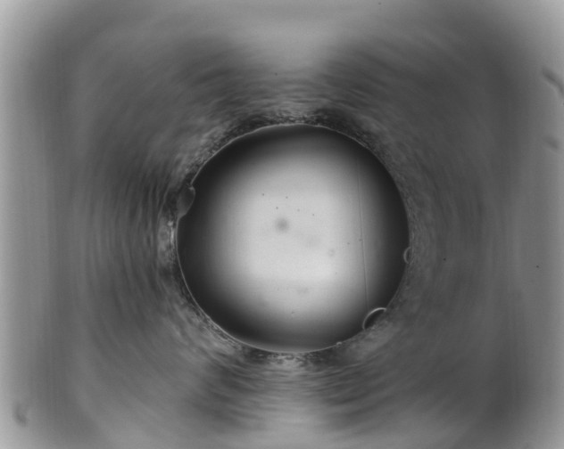 X0000102280624200808011451