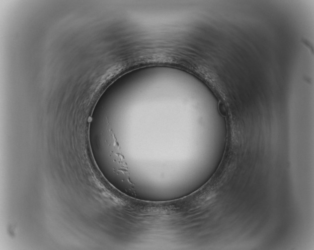 X0000102280625200808011451