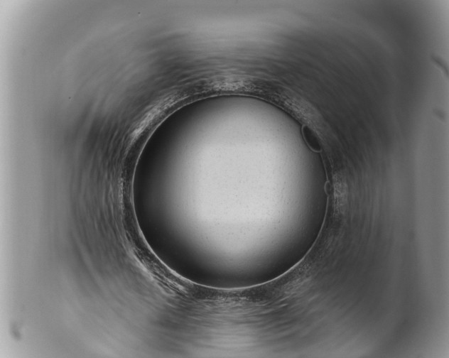 X0000102280626200808011451