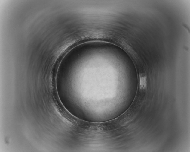 X0000102280627200808011451