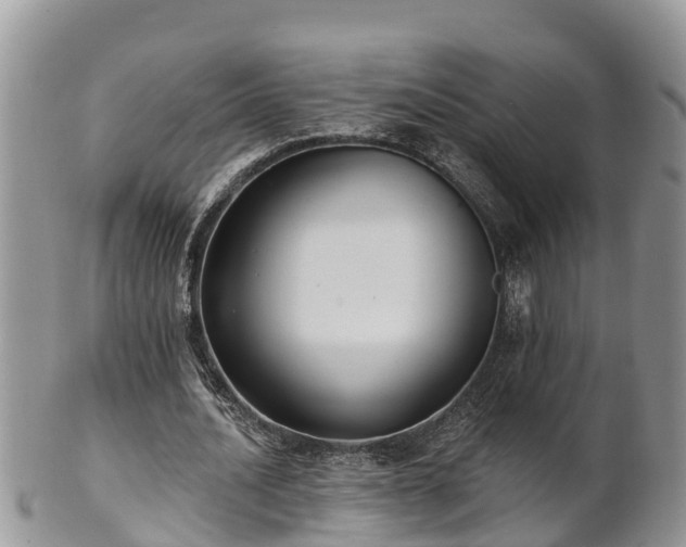 X0000102280628200808011451