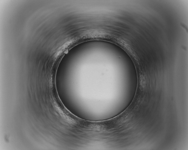 X0000102280629200808011451