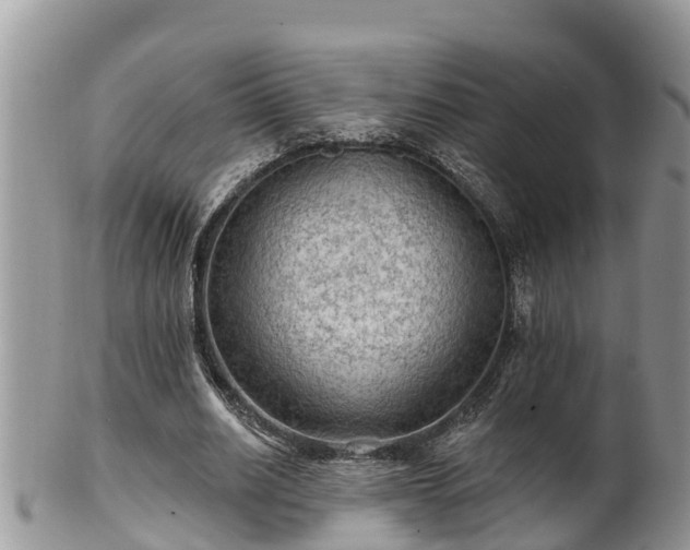 X0000102280630200808011451