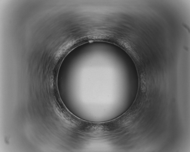 X0000102280631200808011451