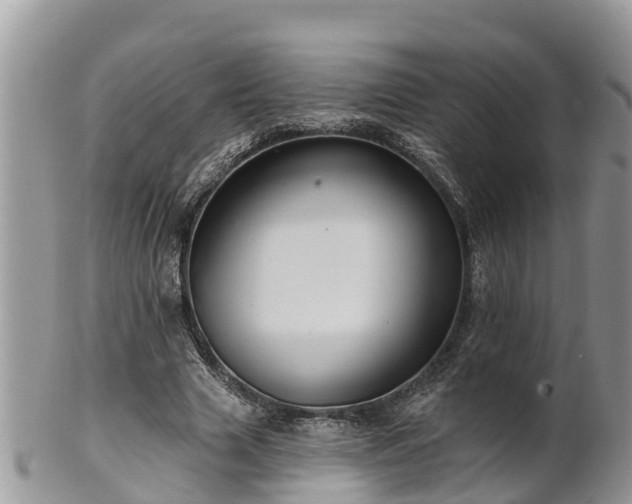 X0000102280633200808011451