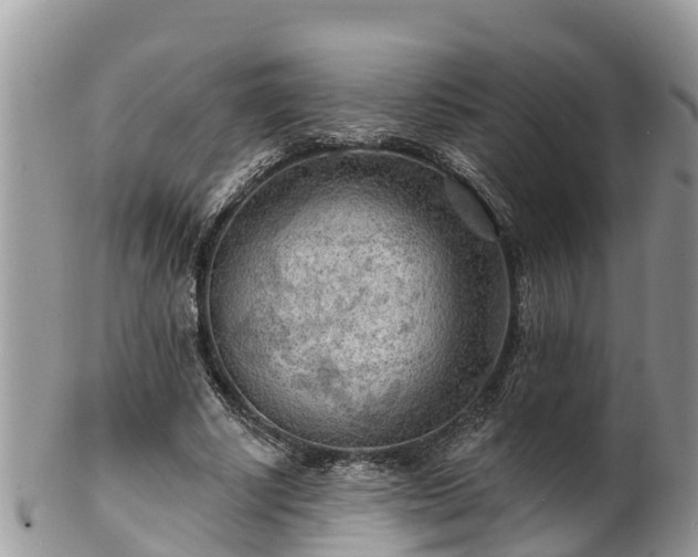 X0000102280634200808011451