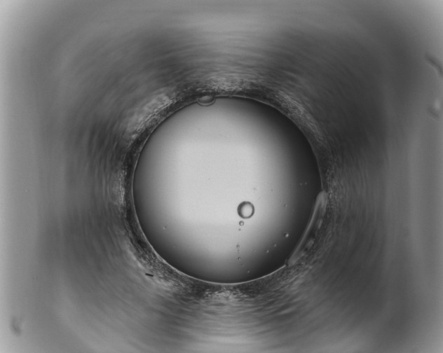 X0000102280635200808011451