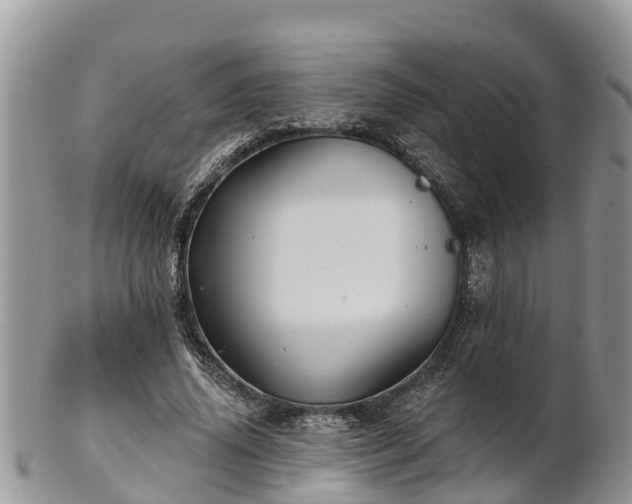 X0000102280636200808011451