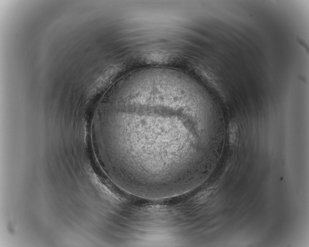 X0000102280637200808011451