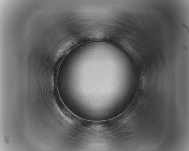 X0000102280638200808011451