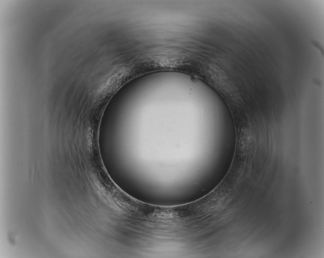 X0000102280639200808011451