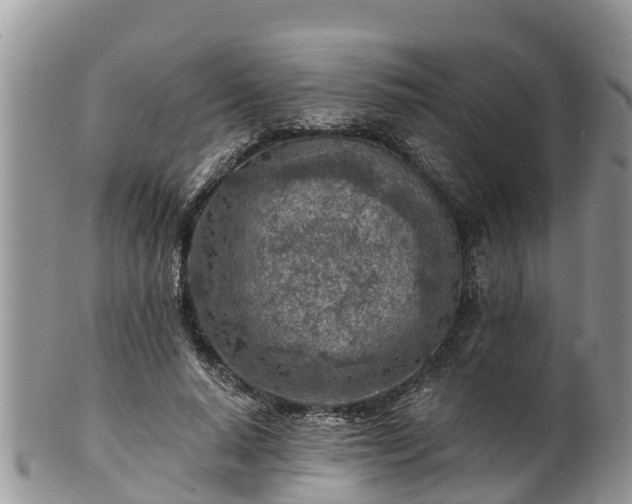 X0000102280640200808011451