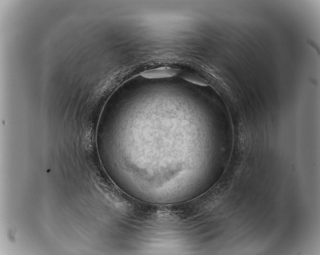 X0000102280641200808011451