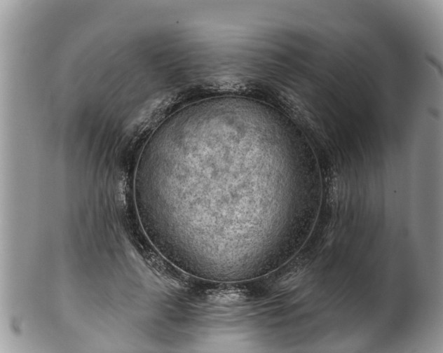 X0000102280643200808011451