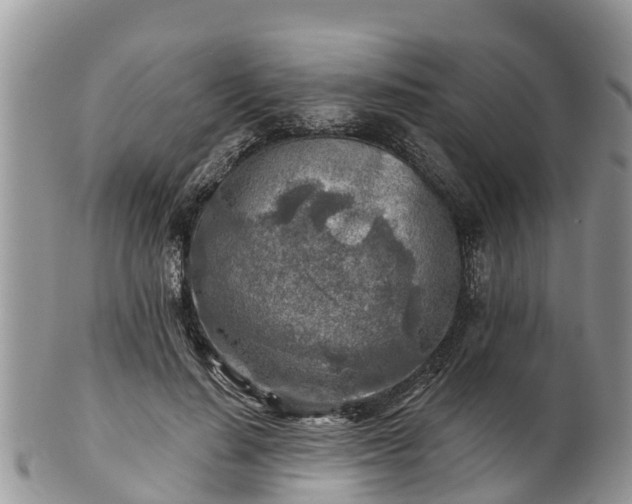 X0000102280644200808011451