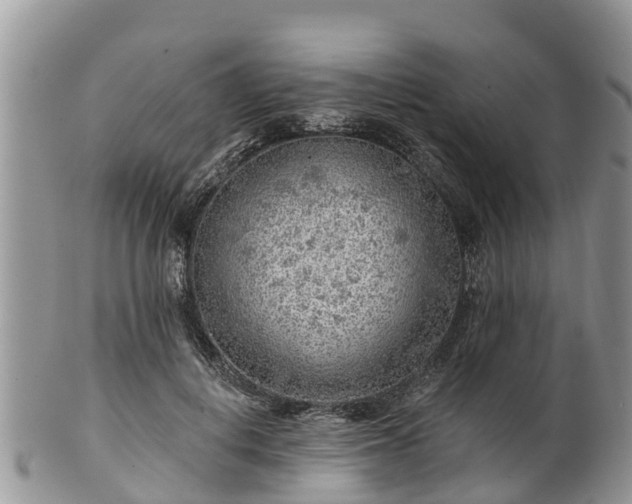 X0000102280648200808011451