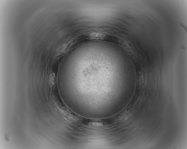 X0000102280649200808011451