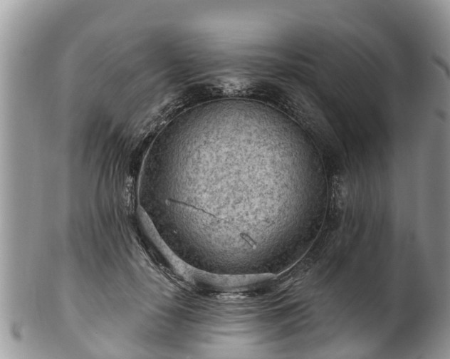 X0000102280650200808011451