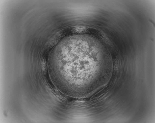 X0000102280651200808011451