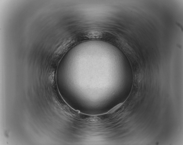 X0000102280652200808011451